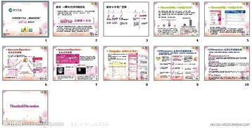 公关专题活动策划方案