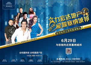 房地产演唱会策划方案