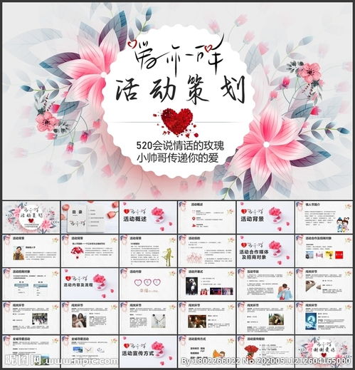 情感节目策划方案