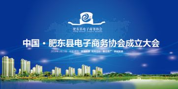 广西国旅电子商务策划方案