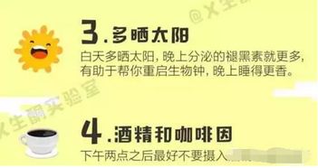 帮女郎策划方案
