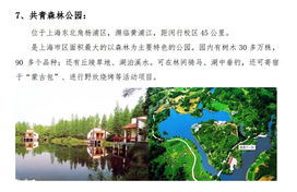 清明节景区策划方案
