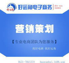 syb网店网络营销策划方案