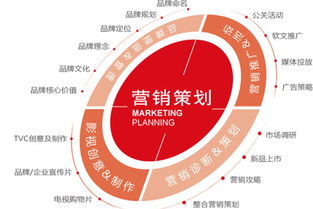 藏茶营销策划方案