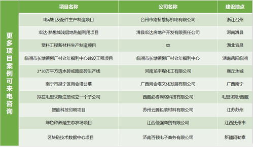 精油品牌方案策划计划
