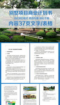 中国别墅商业街企划策划方案