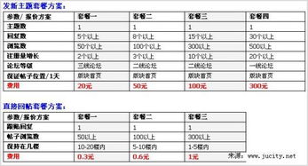 网络炒作策划方案