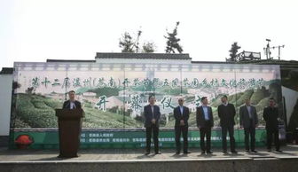 首届苍南旅游文化节策划方案