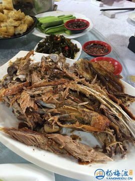羊肉试吃策划方案