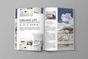 杂志广告策划方案