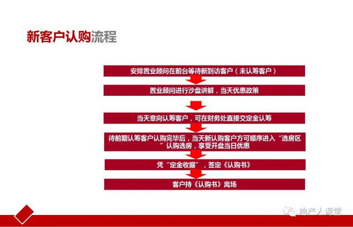某房地产大型楼盘开盘活动策划方案