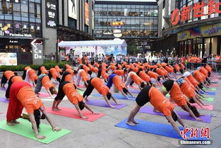 百人户外瑜伽策划方案