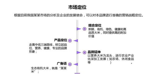 成都天乐城北项目营销策划方案