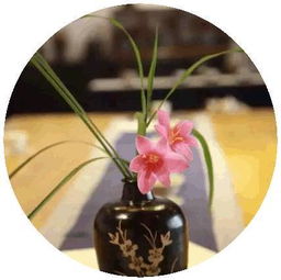 云南茶会的策划方案