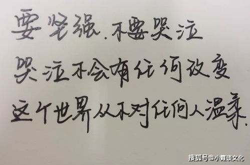给人,短语,句子,能量