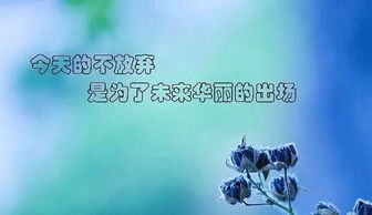 早晨富有正能量的句子