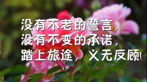 关于早上好的正能量的句子经典语录