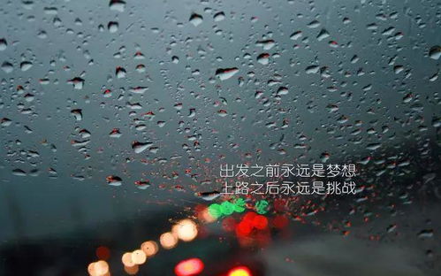 永不认输的正能量句子