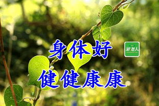 句子,能量,感谢,同学