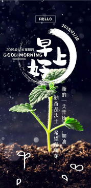鼓励初一儿子正能量的句子