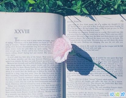 中考正能量的句子经典语句,中考积极向上正能量的句子,中考拼搏努力正能量的句子