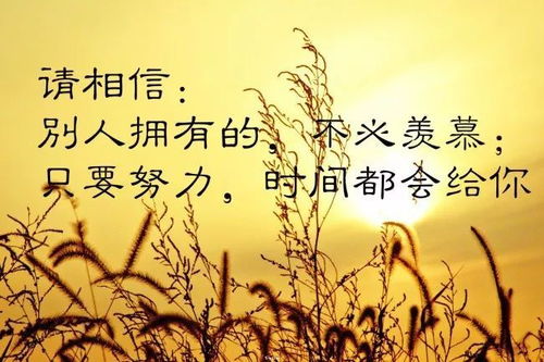 讨厌正能量的句子
