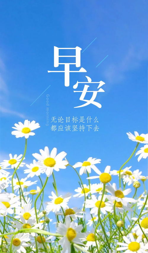 早安,简短,句子,能量