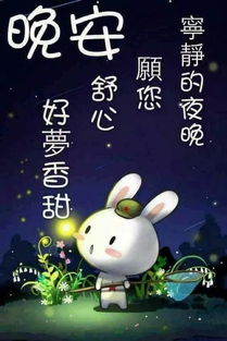 晚安句子可爱正能量