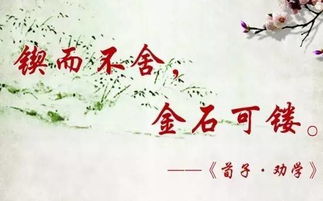 句子,词语,能量