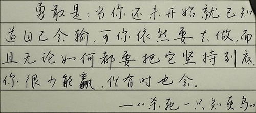 正能量的钢笔字句子