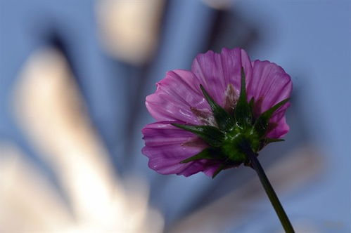 活在当下正能量的句子经典