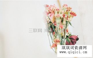 正能量清新文艺的句子古风