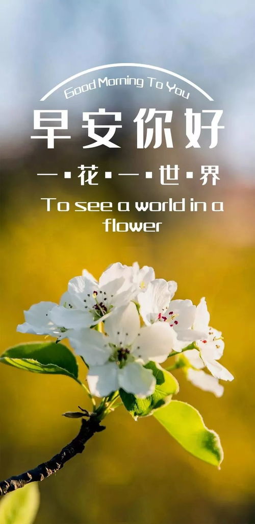 早安朋友圈很赞的说说正能量句子