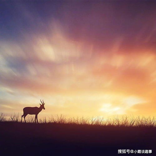 心态阳光正能量句子