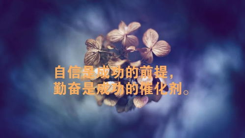 适合天冷早上发朋友圈的句子,早上怎么发朋友圈的句子,大早上发朋友圈的句子