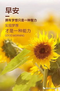 好运正能量句子