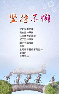 押韵,句子,能量,温柔