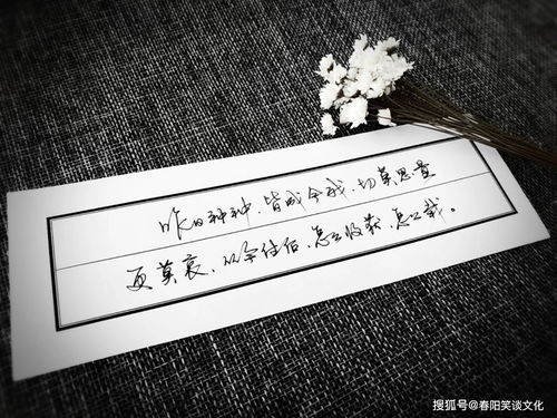 正能量温暖人心的短句子