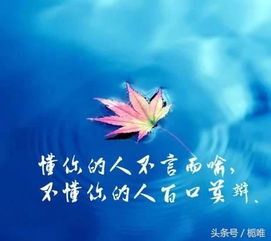 护士正能量的句子简短唯美,乐观正能量的句子简短唯美,有哲理正能量的句子唯美