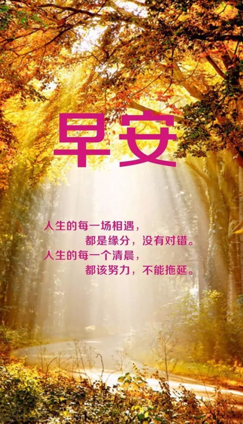 十一月的正能量句子