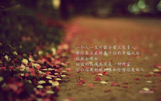 句子,关爱,能量,老人