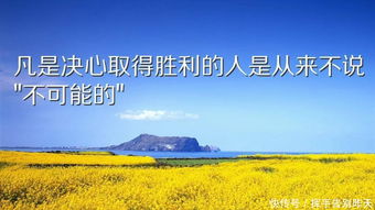 关于正能量句子20字