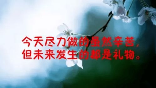 鼓励自己的正能量句子