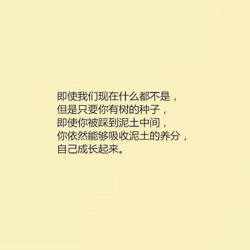 关于坚持的正能量句子段落,正能量的句子经典段落,正能量句子励志段落