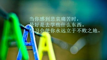 朋友圈晚安正能量的句子,早上男人发朋友圈的正能量句子和,朋友圈正能量句子人人点赞最高