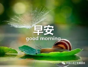 句子,能量,问候