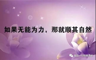 句子,能量,抖音网红正