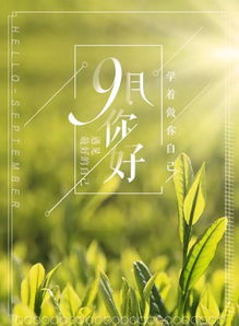 早安,句子,励志,能量