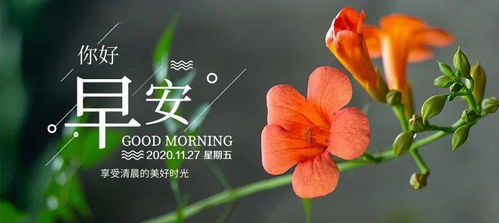 早上发朋友圈的句子正能量早上好