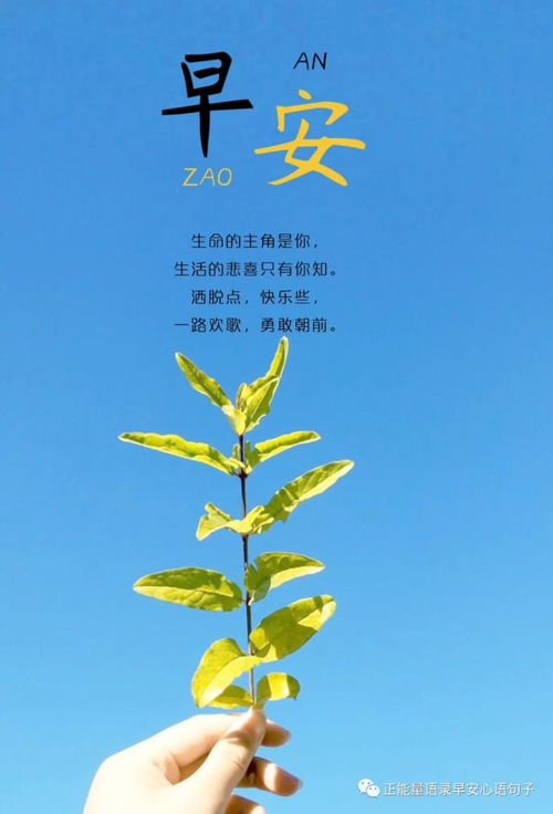 早安,上进,句子,激励